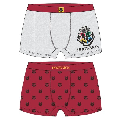 Pack 2 calzoncillos boxer Harry Potter