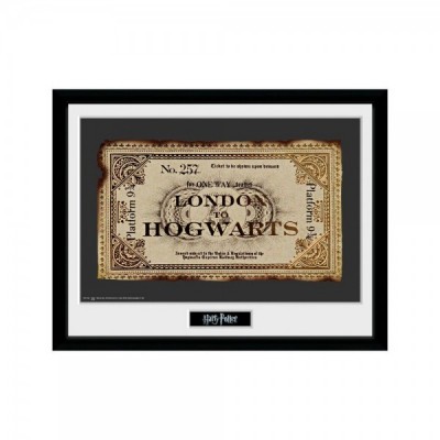 Foto marco Ticket Harry Potter