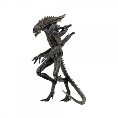 Figura Alien Xenomorph 23cm