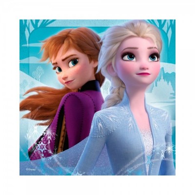 Multipack memory + 3 puzzles Frozen 2 Disney